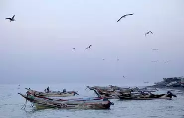More than 100 Yemeni fishermen have died in sea mine explosions in the past four months. Here, fishermen's boats are seen off the coast in al-Khokha district of Yemen's al-Hodeidah province on January 16. [Khaled Ziad/AFP]