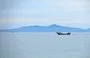 
Fishermen sail near Zuqar island off Yemen's al-Hodeidah, May 3, 2021. [Khaled Ziad/AFP]        